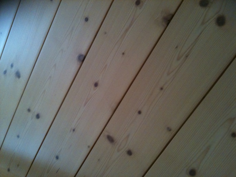 Foto1.jpg